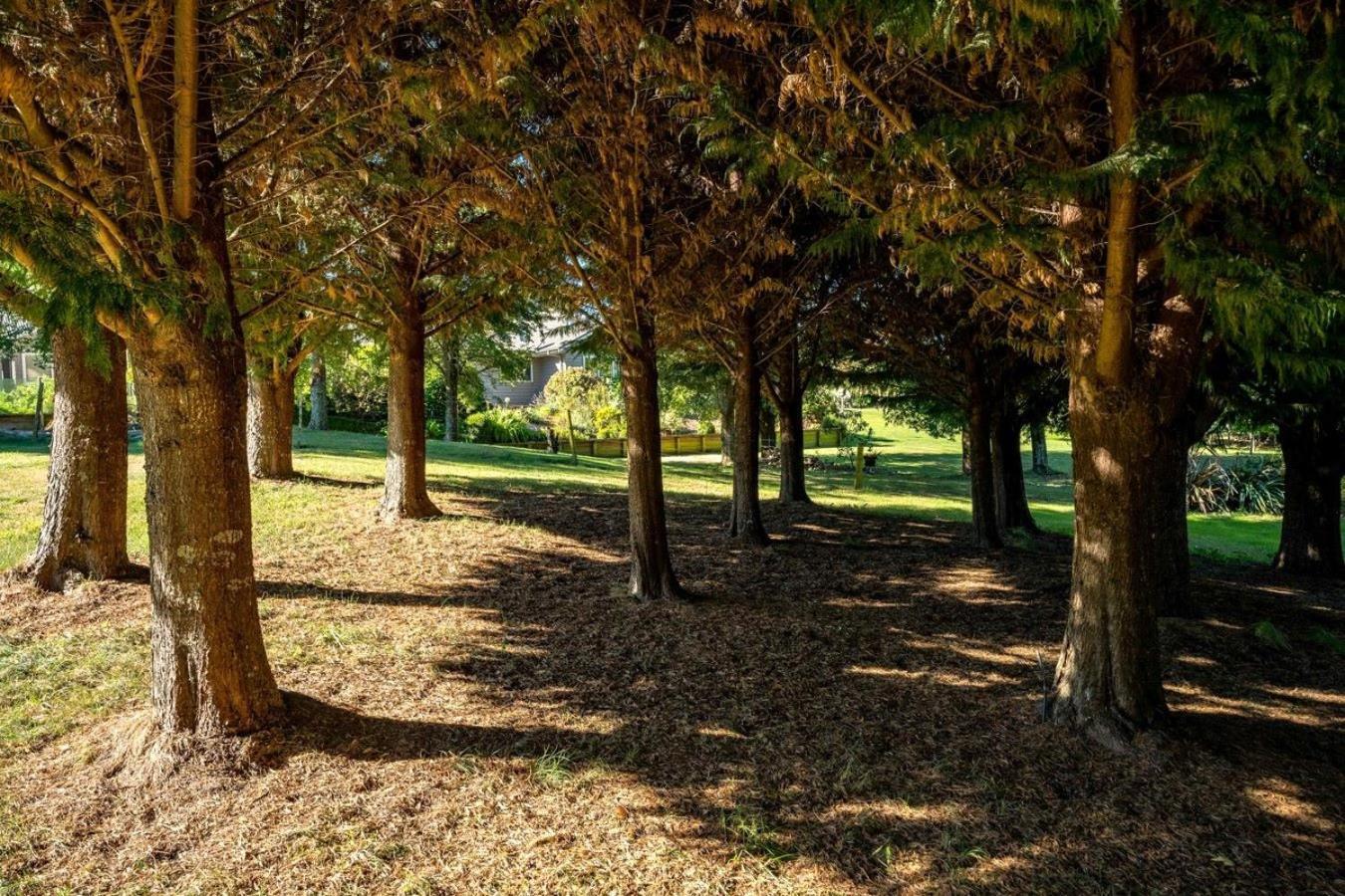 אגם טאופו Mountviews Lodge מראה חיצוני תמונה